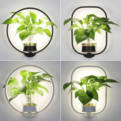 Modern Wall Lamp